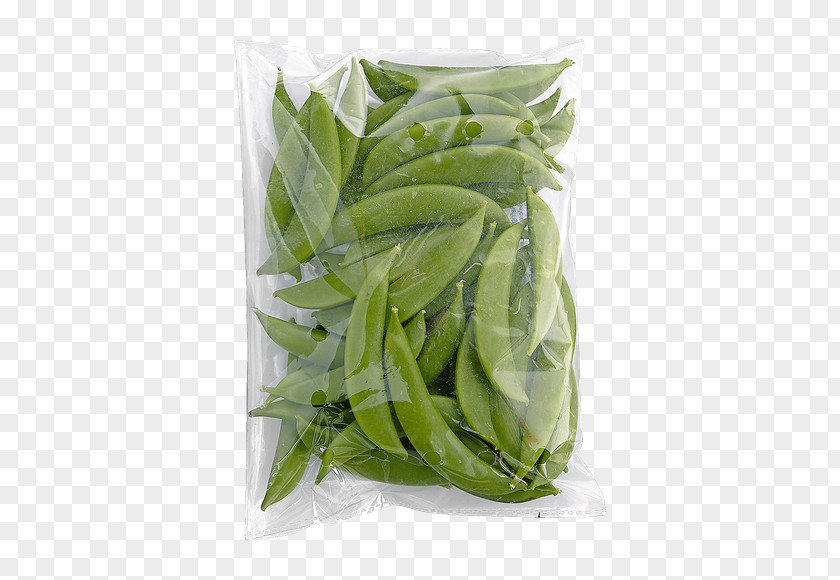 Pea Snap Longjing Tea Lima Bean Green PNG