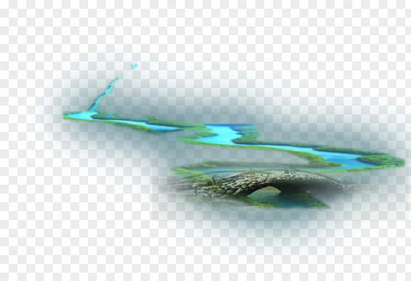 Water Feather Close-up PNG