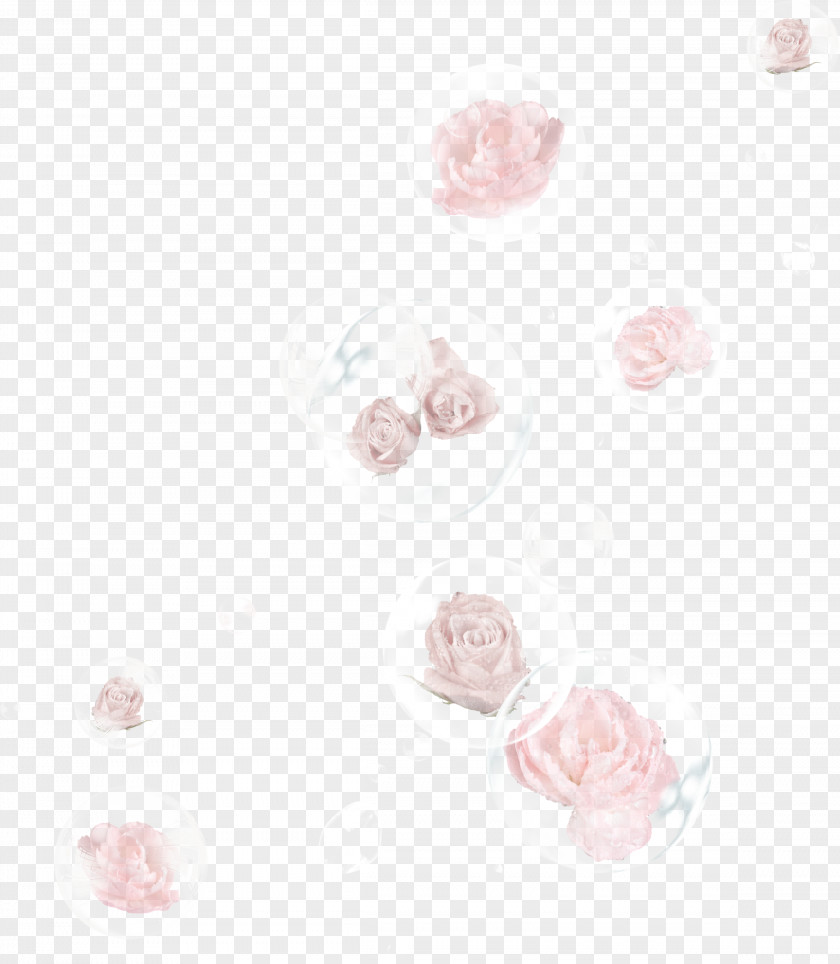 Falling Roses Flower Download PNG
