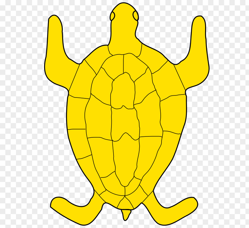 Turtle Tortoise Sea Clip Art Reptile PNG