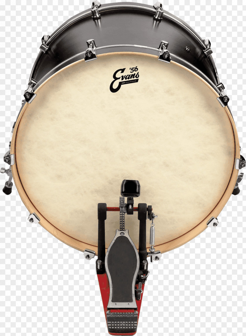 Values Bass Drums Drumhead Timbales Tom-Toms PNG
