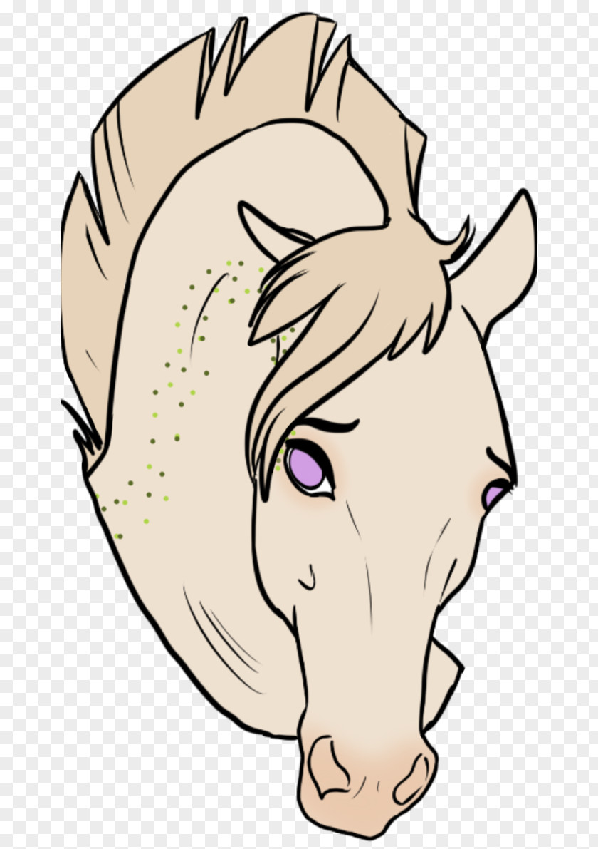 Colored Cross Friesian Stallions Snout Line Art Horse Clip PNG