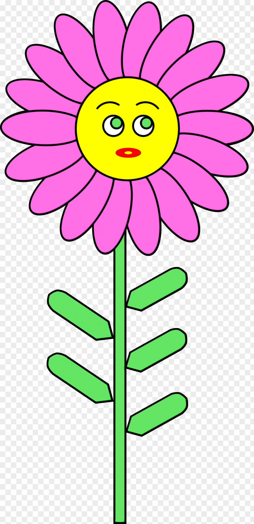 Happy Chamomile Watercolor Pink Flowers PNG