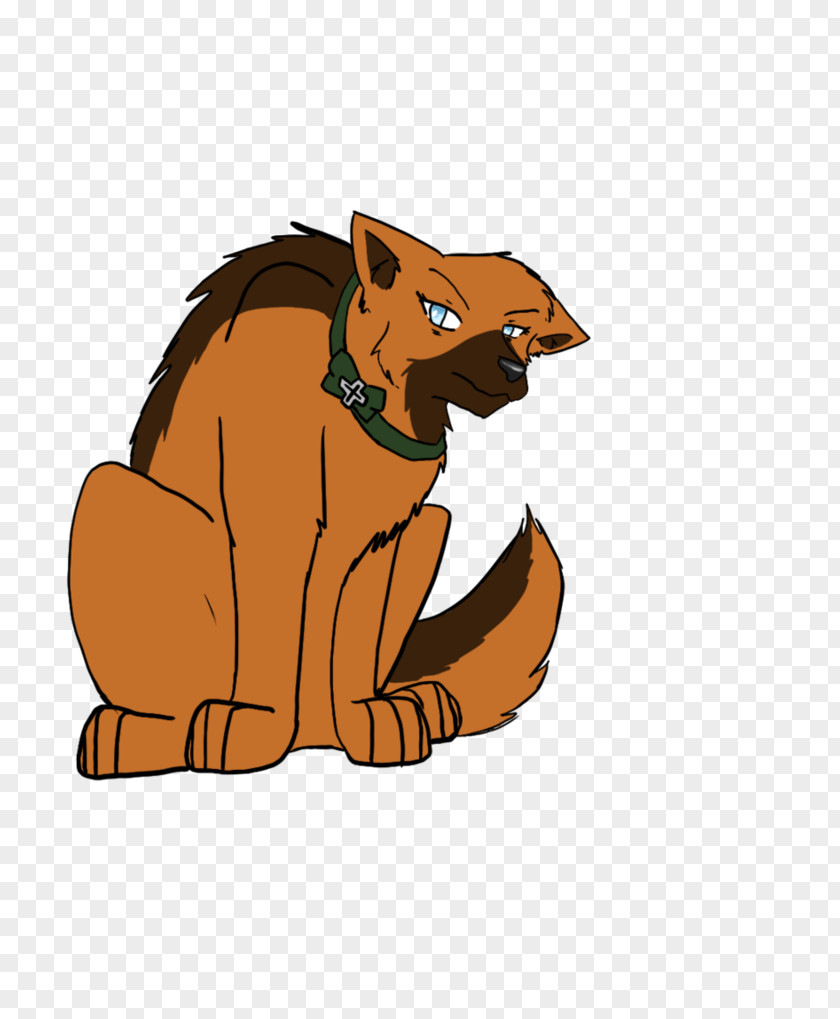 Lion Whiskers Red Fox Cat Bear PNG