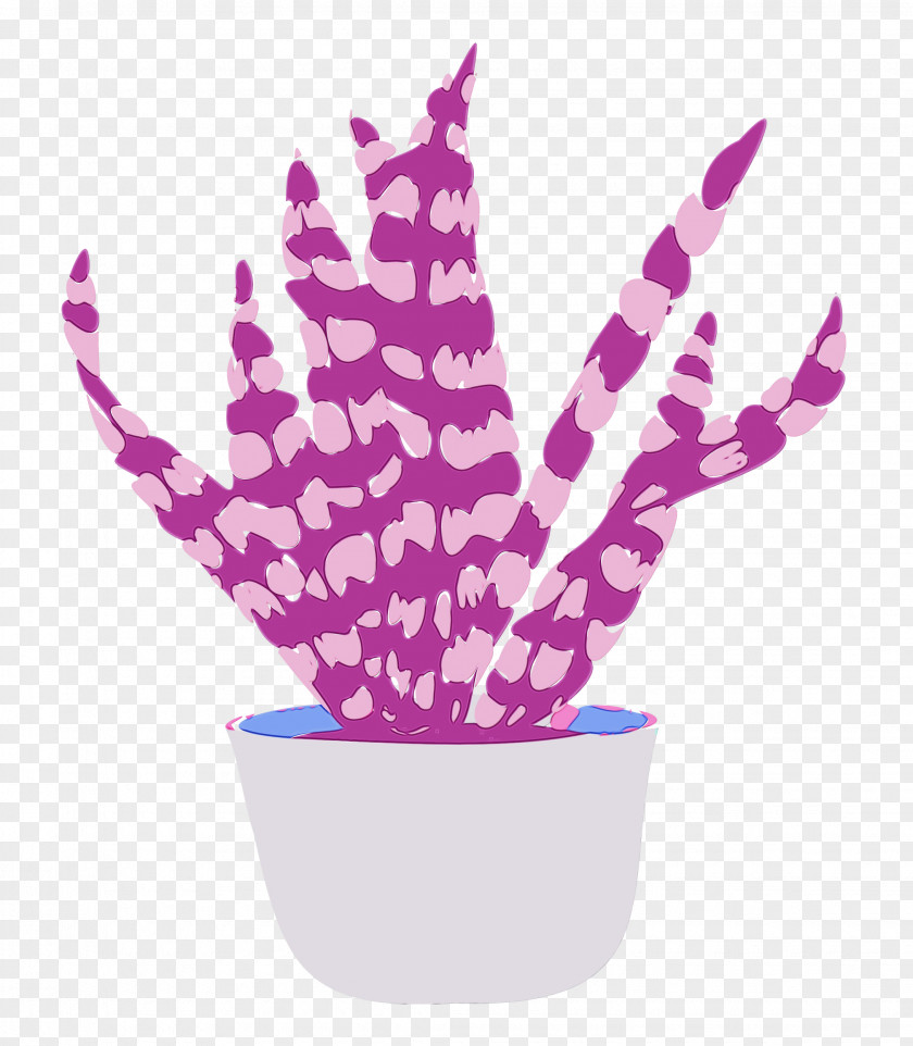 Plant Flowerpot Biology Science PNG