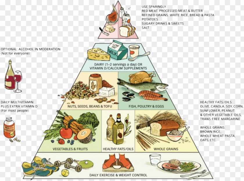 Pyramid Food Healthy Eating Diet Group PNG