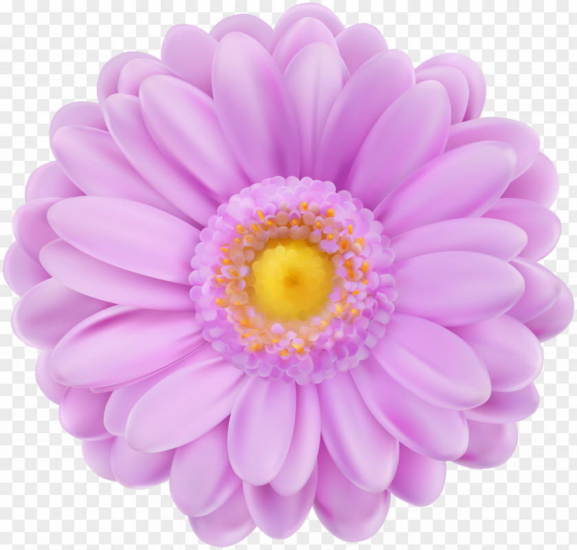 Soft Purple Flower Transparent Clip Art PNG