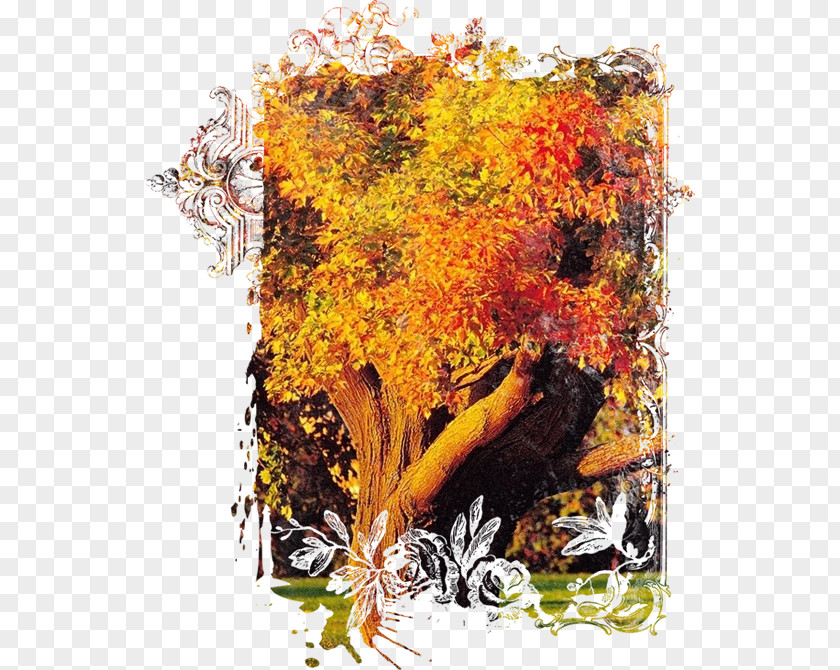 Autumn Tree, Lawn & Landscape Co. Season PNG