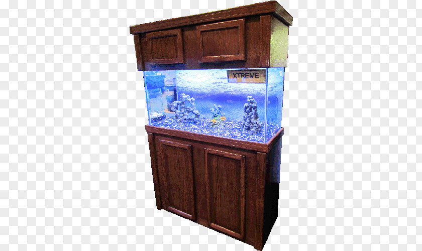 Fish Tank Reef Aquarium Gallon Furniture Sump PNG