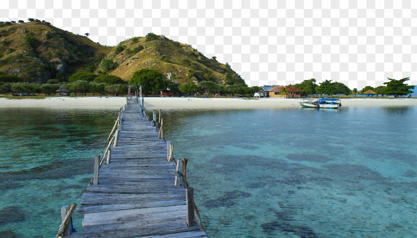 Komodo National Park Attractions Lombok Rinca Flores Gili Islands PNG