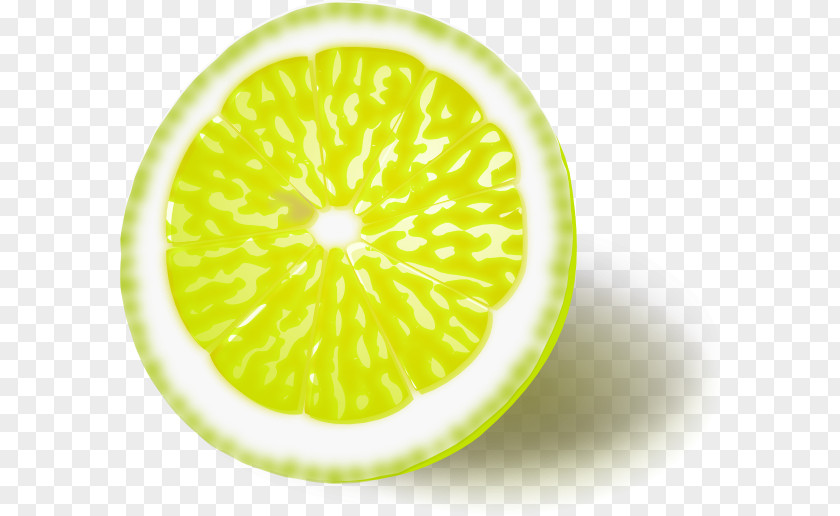 Lemon Juice Lime Orange Clip Art PNG