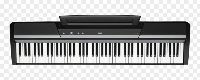 Piano Digital Keyboard Musical Instruments Korg PNG