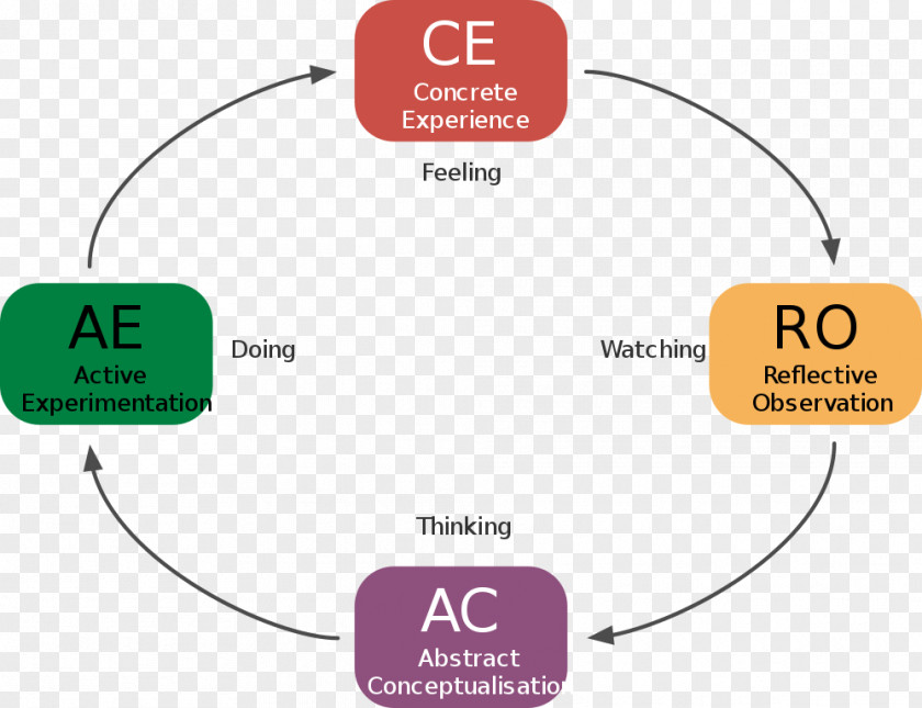 Student Kolb's Experiential Learning Cycle Styles Theory PNG