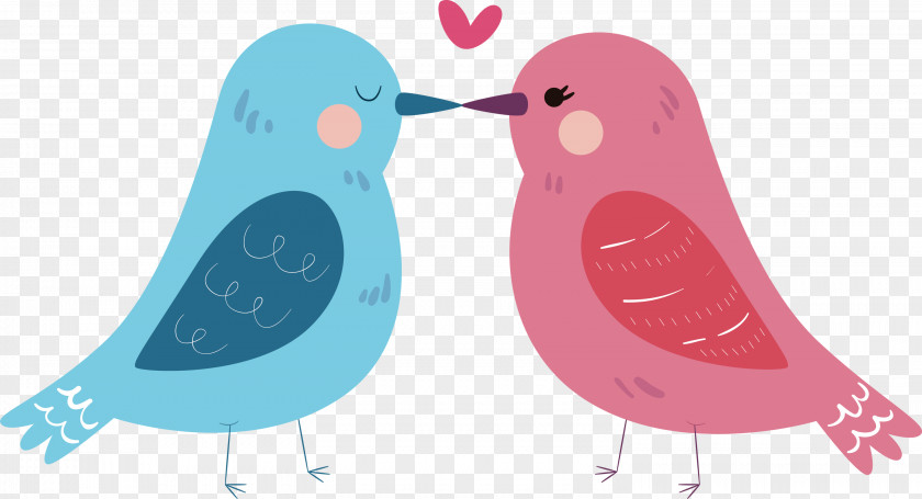 Beak Pink M PNG