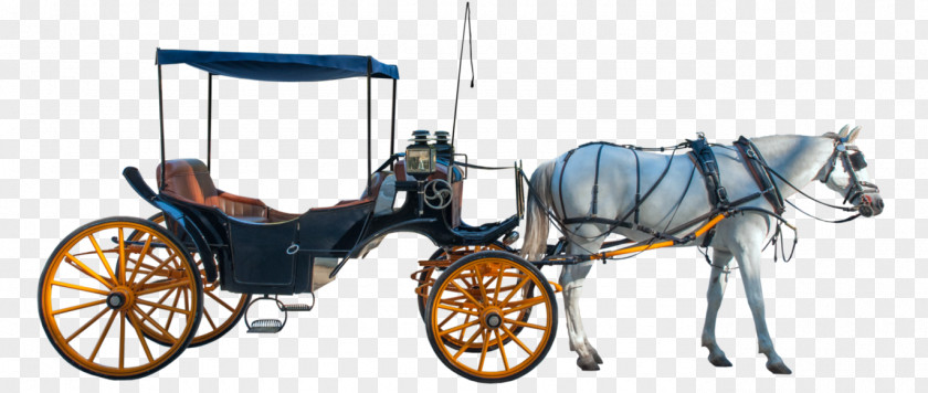 Carriage Horse And Buggy Horse-drawn Vehicle PNG