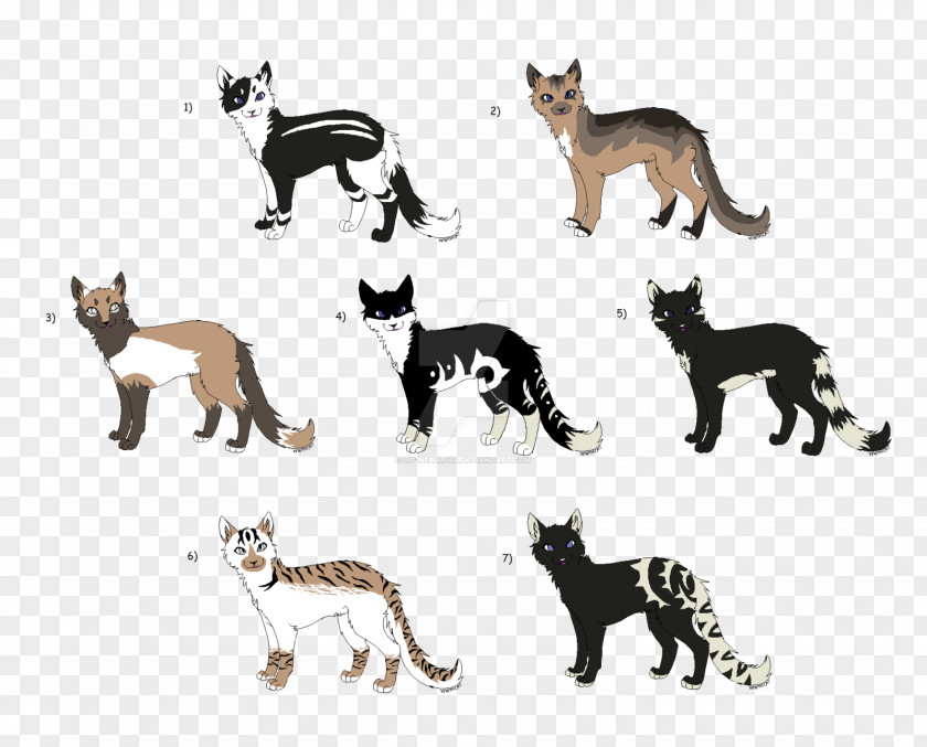 Cat Dog Breed YouTube Litter PNG