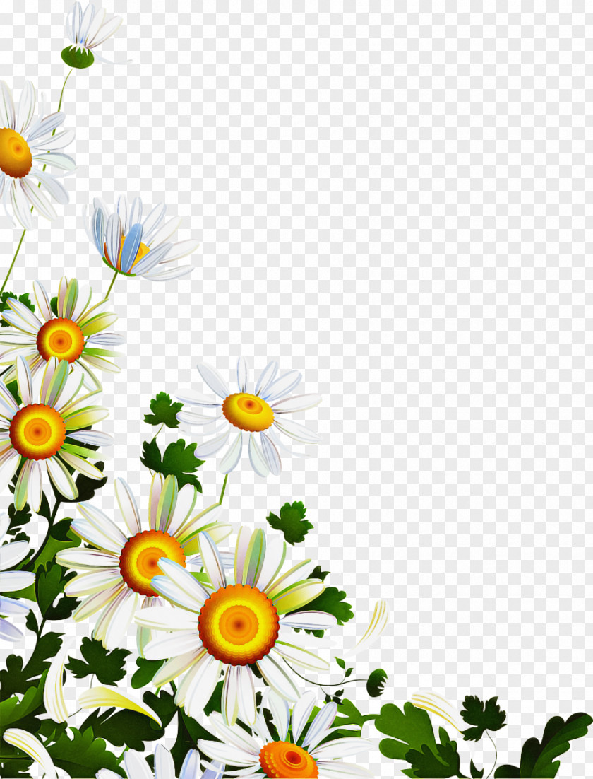 Cut Flowers Plant Stem Background PNG
