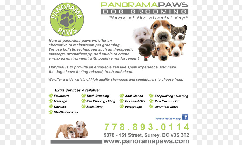 Design Dog Breed Website Development Poster PNG