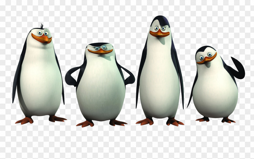 Penguins Of Madagascar Rico Kowalski Skipper Penguin PNG