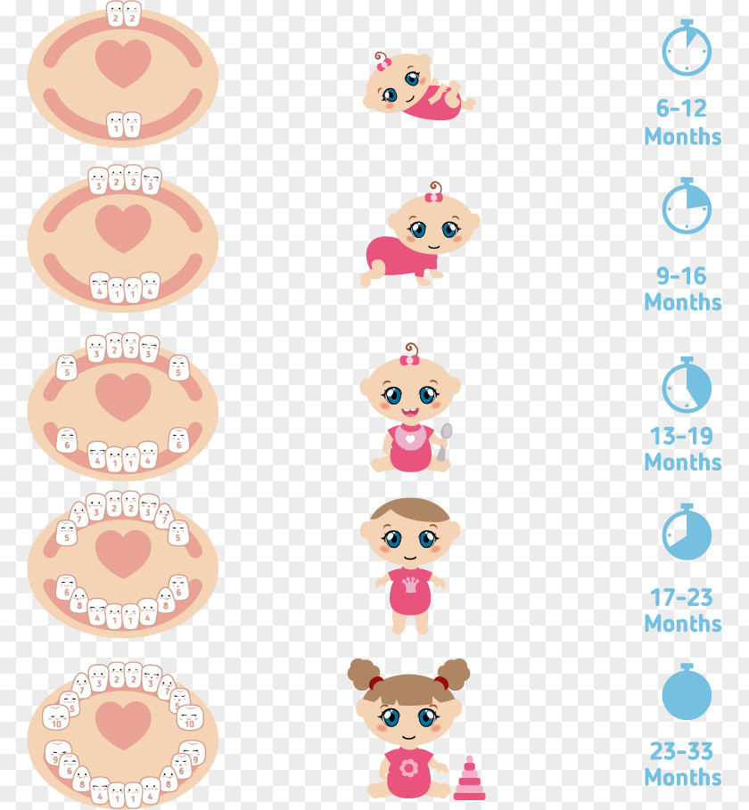 Vector Cute Cartoon Tooth Material Comment Teething Deciduous Teeth Infant Human Illustration PNG