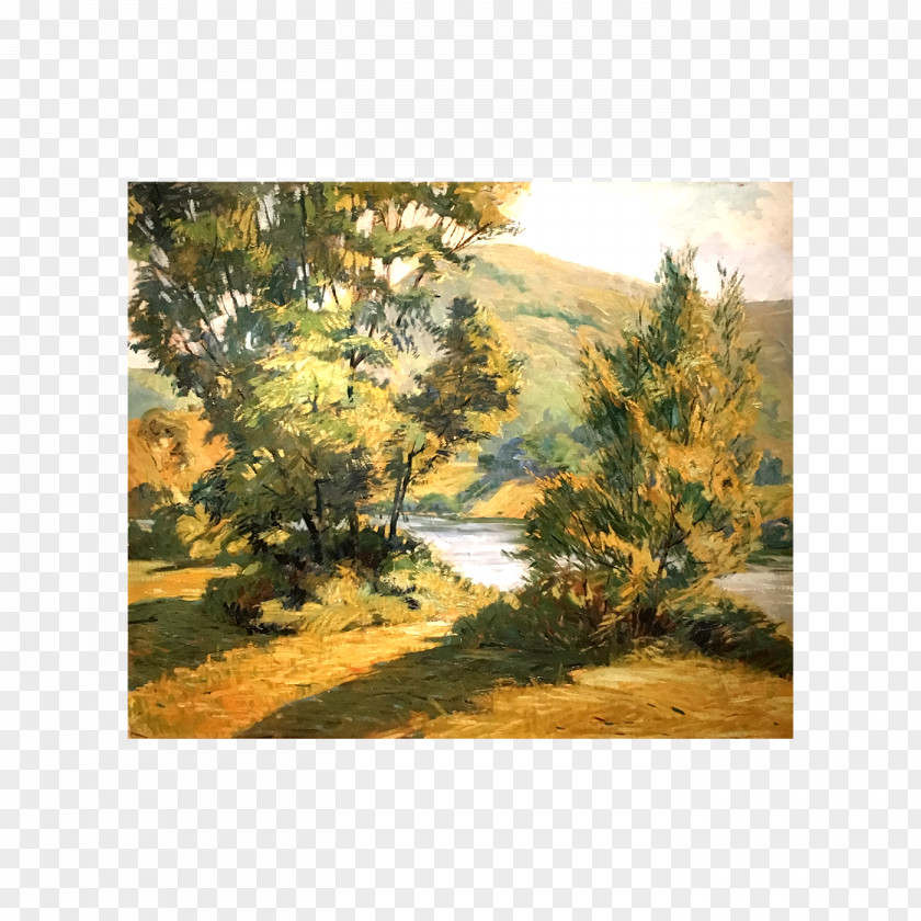 Antiquity Watercolor Ecosystem Landscape Biome Tree Painting PNG