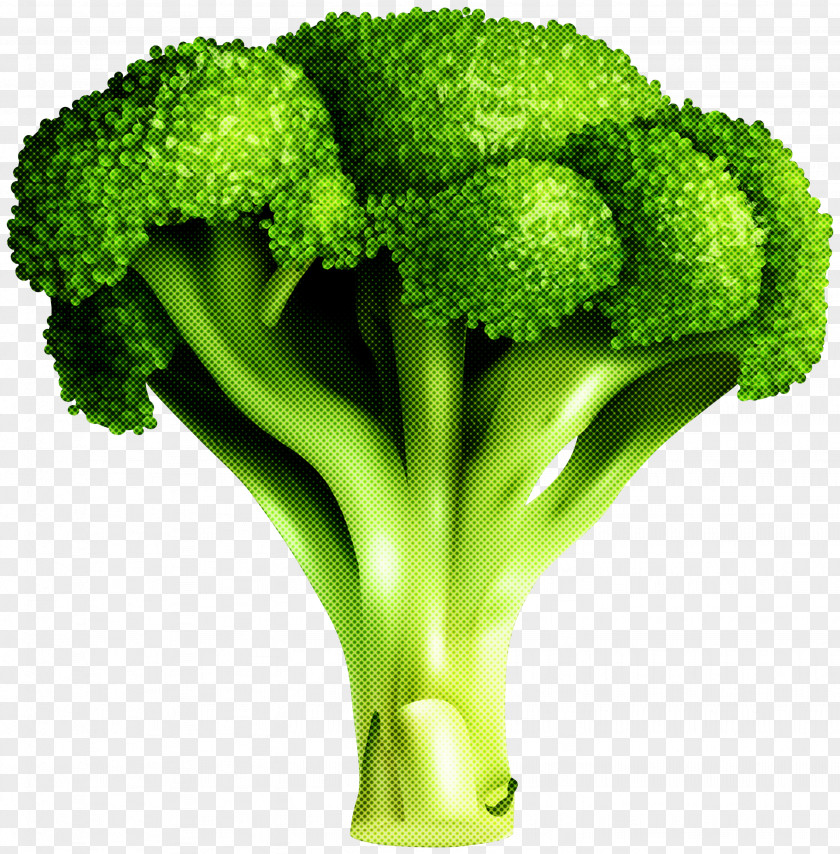 Broccoli Vegetable Leaf Plant Superfood PNG