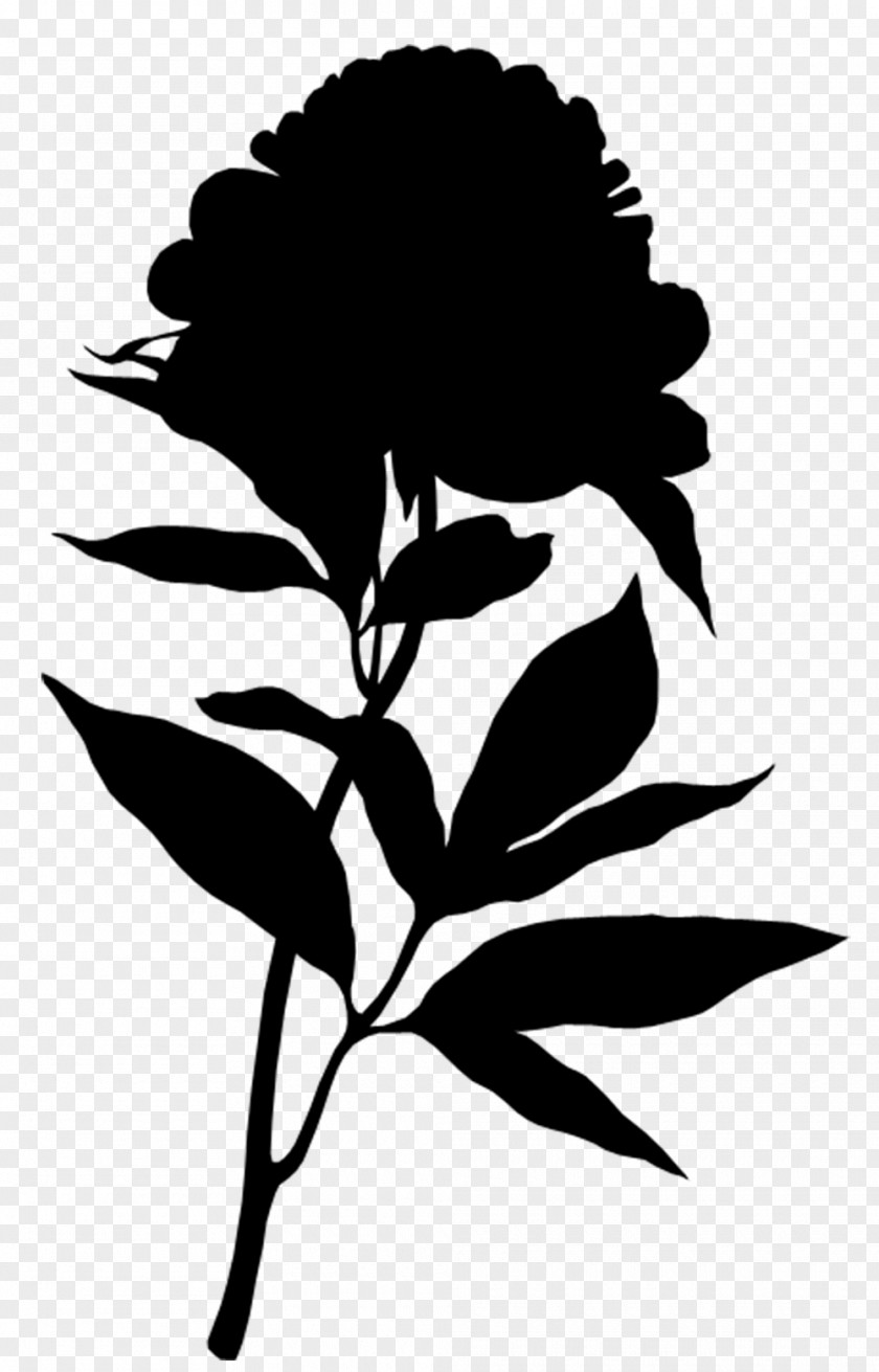 Flower Illustration Rose Cut Flowers Floral Design PNG