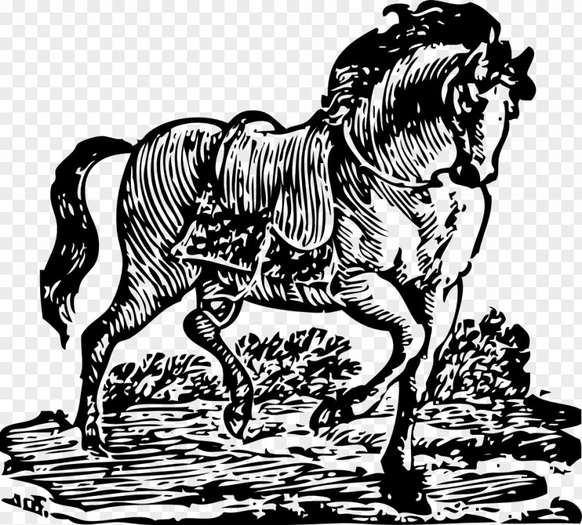 Tennessee Walking Horse Woodcut Clip Art PNG