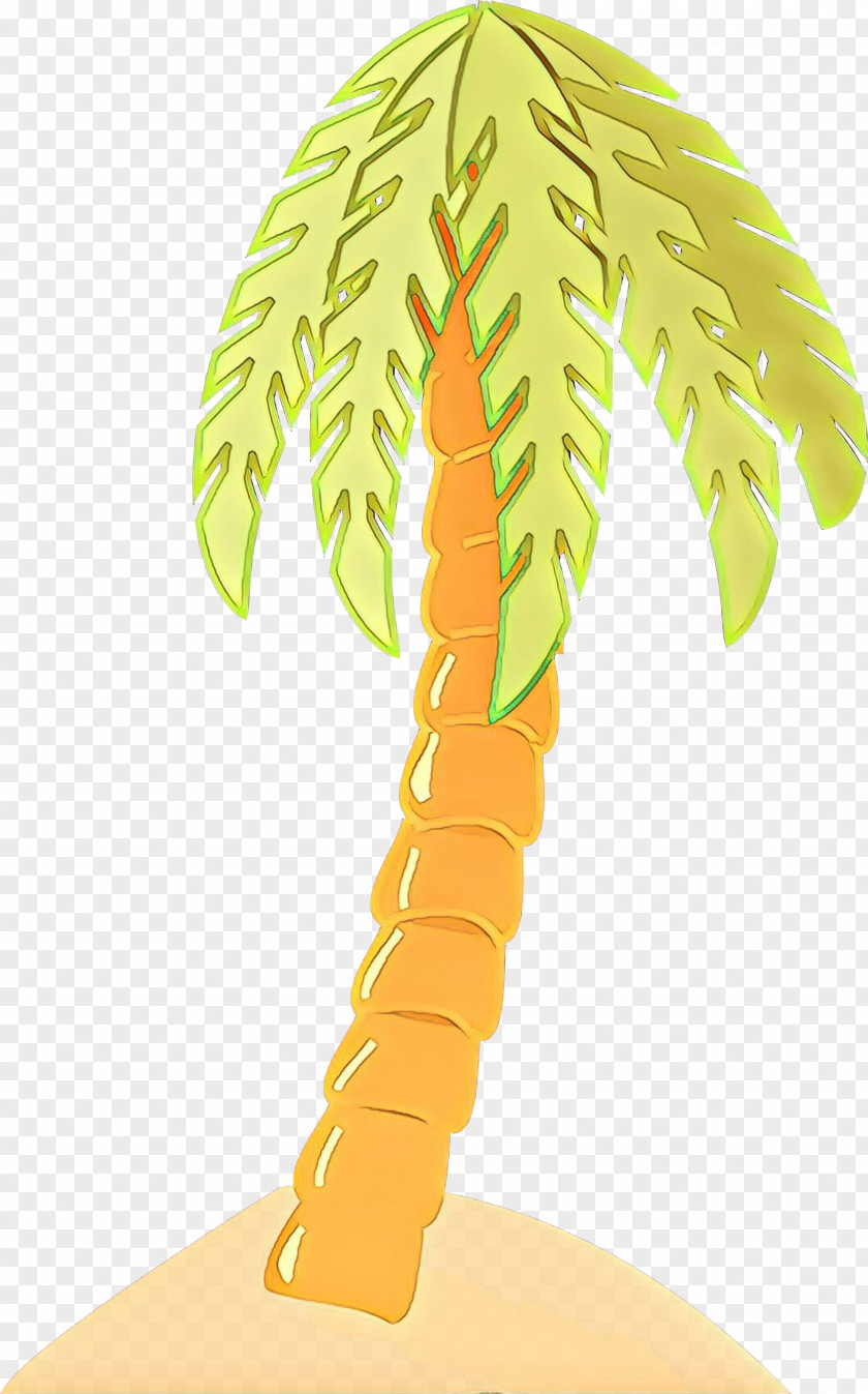 Arecales Woody Plant Palm Tree PNG