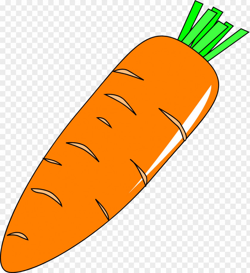Hand-painted Carrot Daikon Vegetable PNG