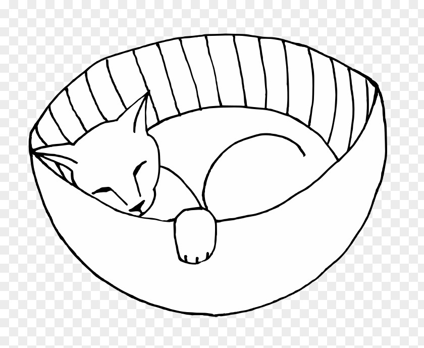 Kitten Cat Drawing PNG