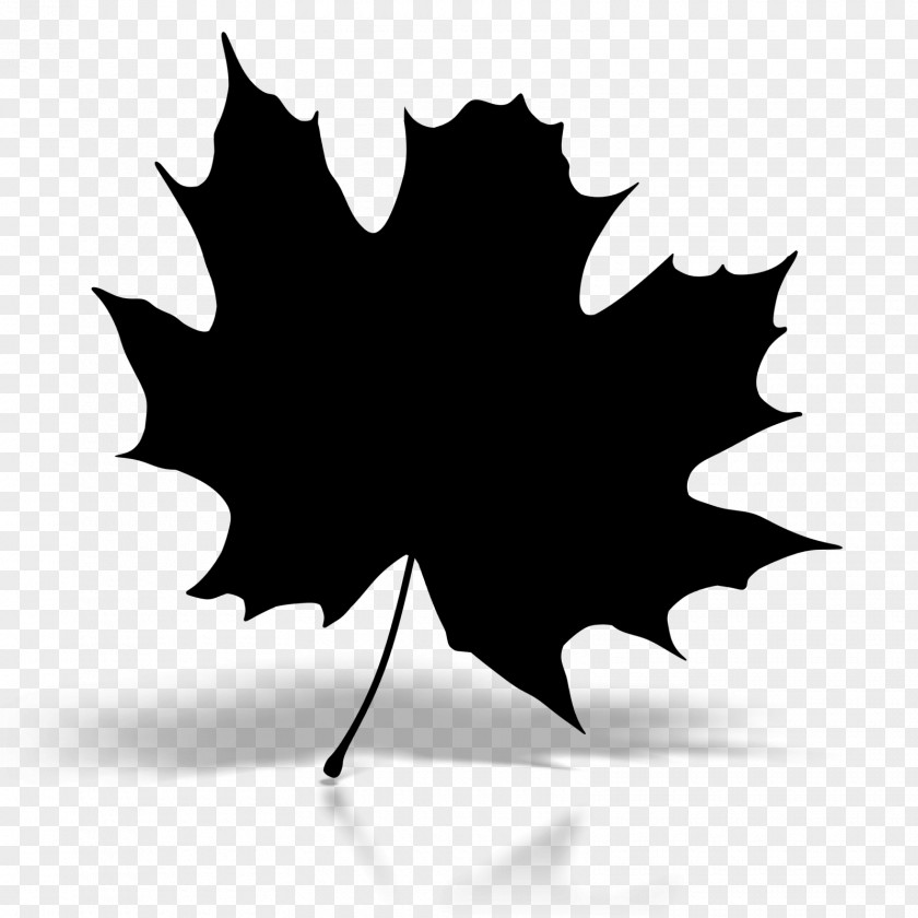 Maple Leaf Baku Silhouette Image Clip Art PNG