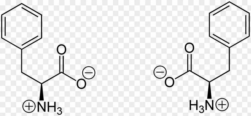 Phenylalanine Racemase Amino Acid Zwitterion Amine PNG
