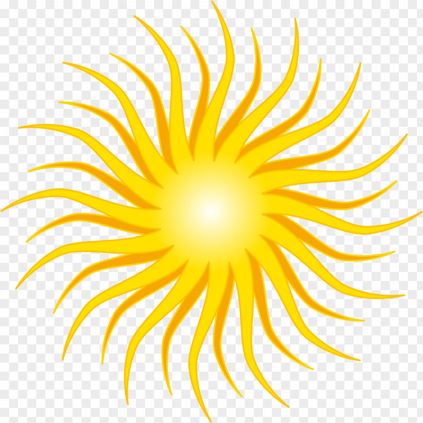 Yellow Sun Rays Drawing Clip Art PNG