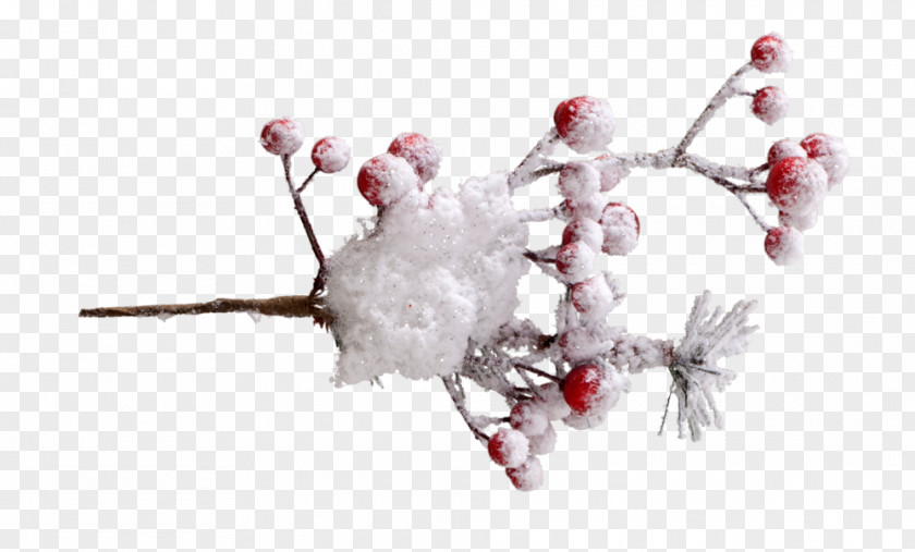 Berries Branch Twig Tree Body Jewellery Snow PNG