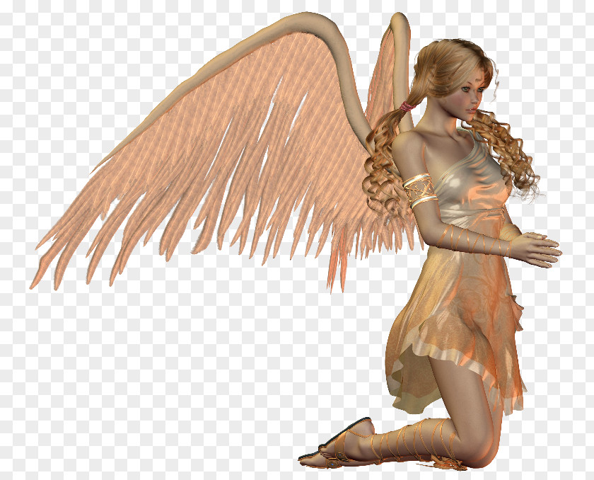 Fairy Angel Prayer PNG