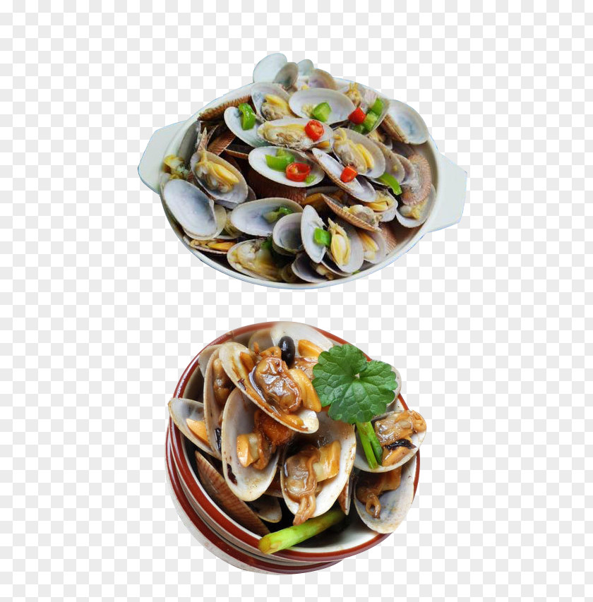Nail Picture Material Cockle Mussel Recipe Seafood PNG