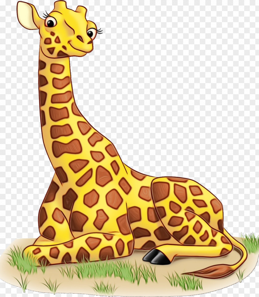 Snout Yellow Giraffe Giraffidae Terrestrial Animal Figure Wildlife PNG