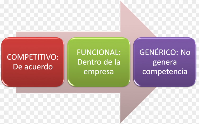 Administracion Mindset Language Management Project Thought PNG