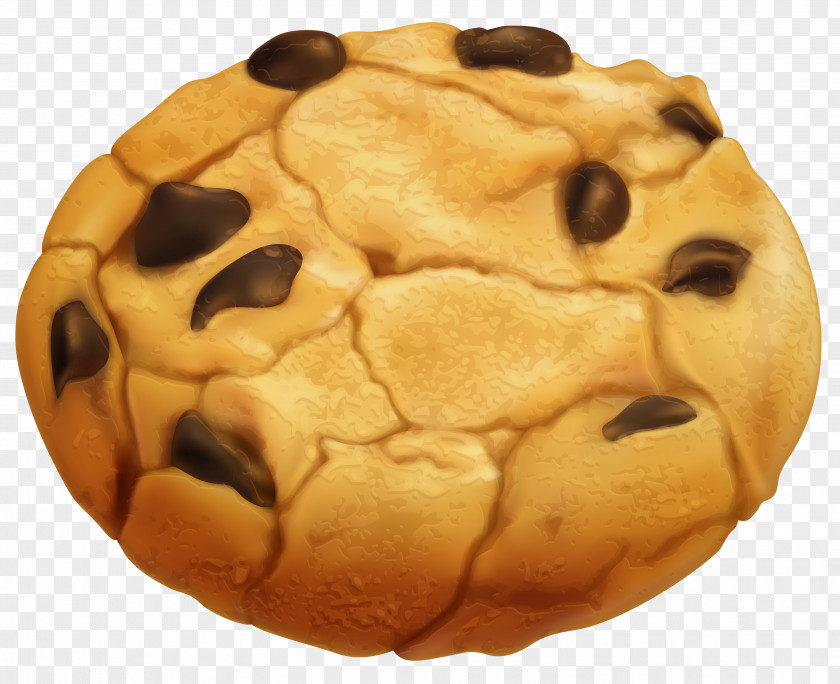 Biscuit Fortune Cookie Tagalongs Chocolate Chip Clip Art PNG