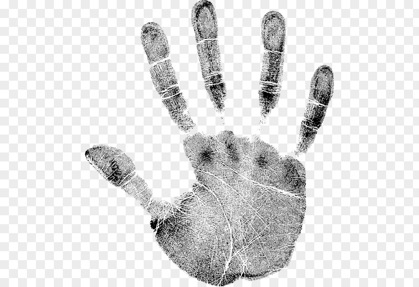 Finger Print Hand Palm Dlan Fingerprint PNG