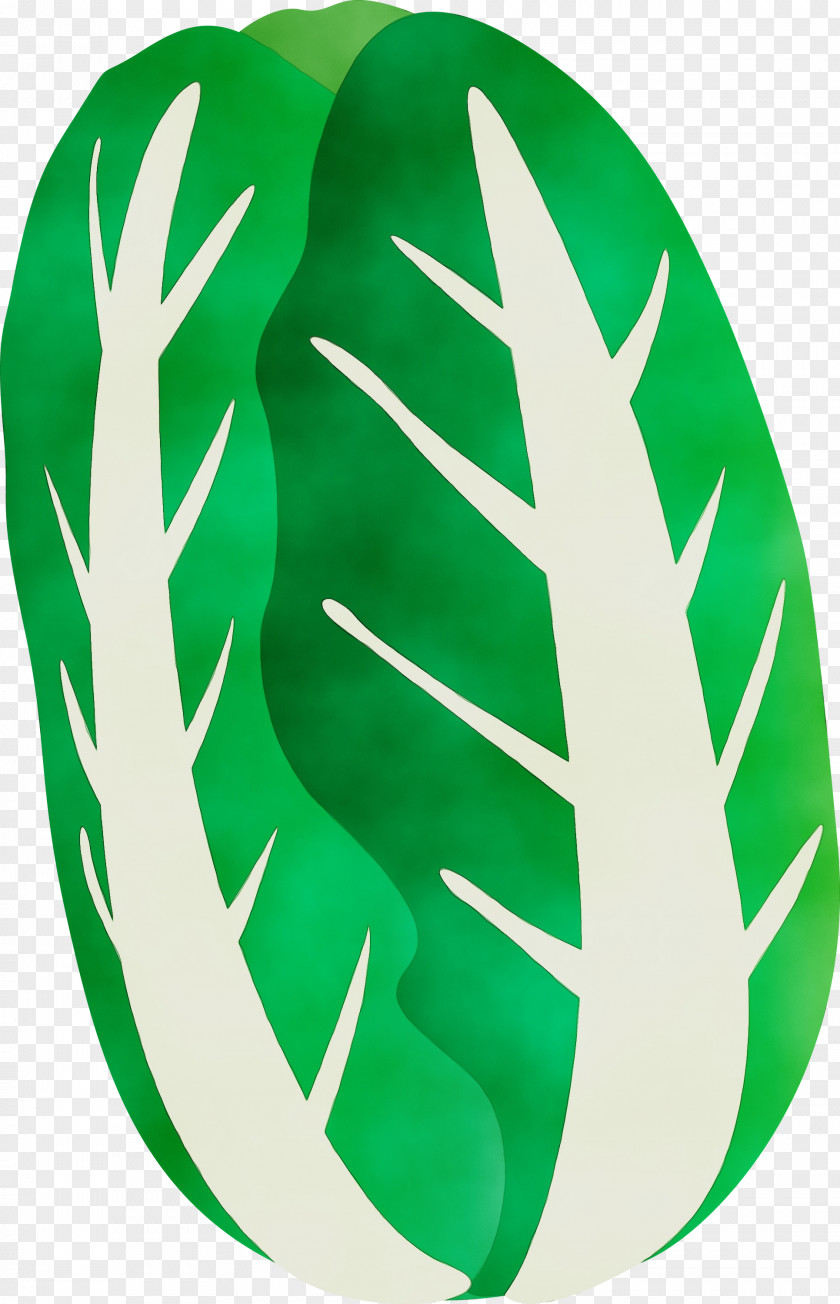 Green Logo PNG