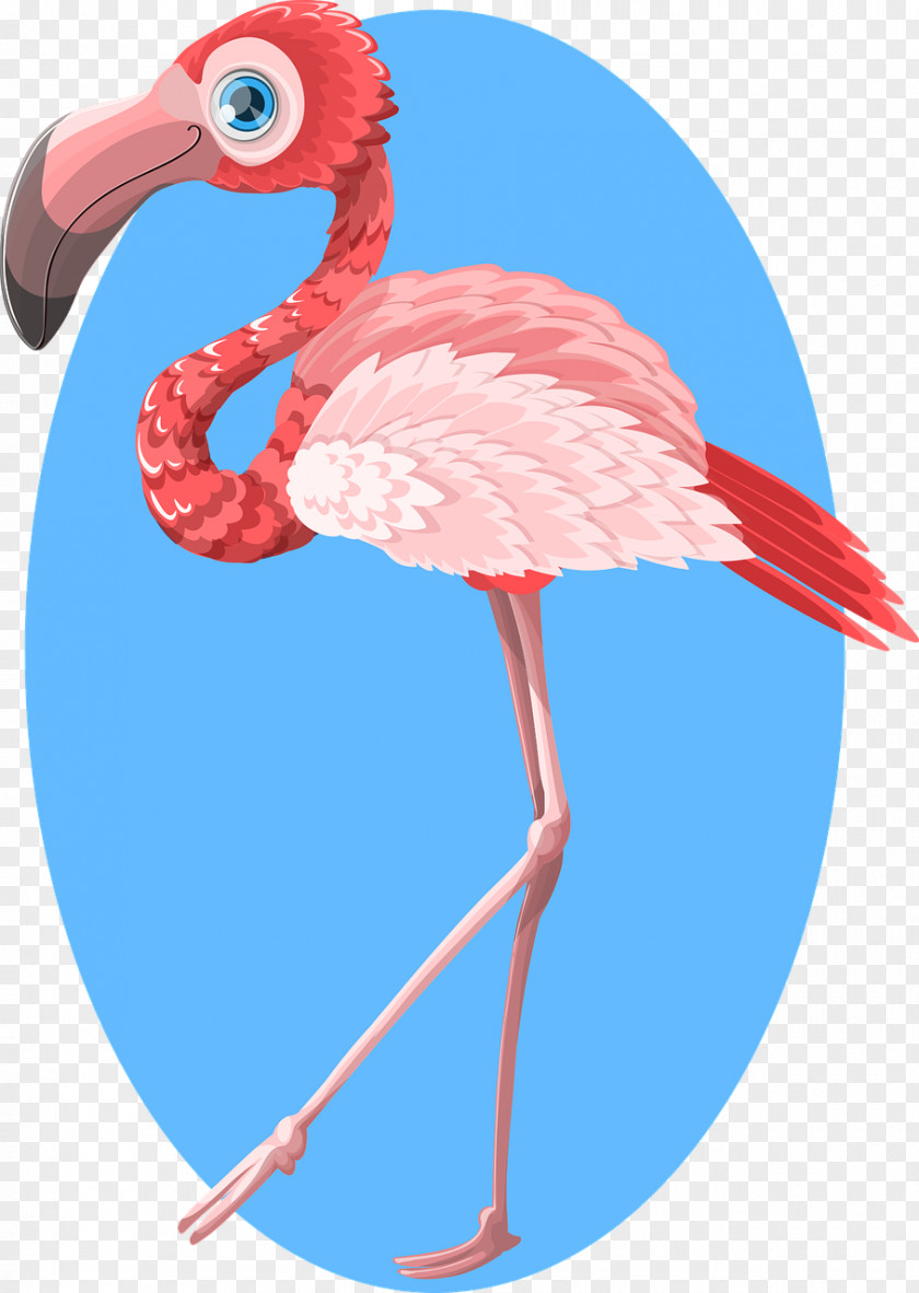 Red Ostrich Flamingo Paper Clip Art PNG