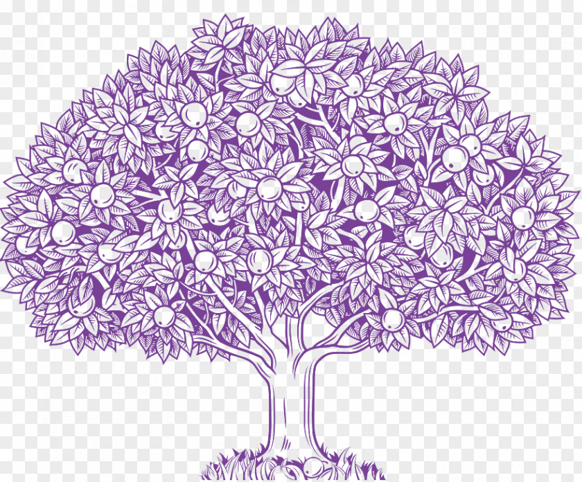 Apple Tree Vector Graphics Stock Illustration Drawing Clip Art PNG