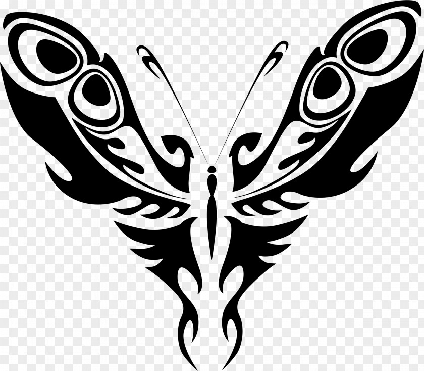 Butterfly Insect Line Art Clip PNG