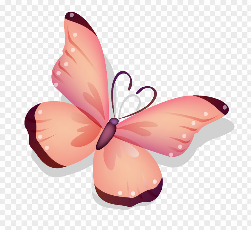 Butterfly Macintosh Apple High-definition Television 4K Resolution Wallpaper PNG