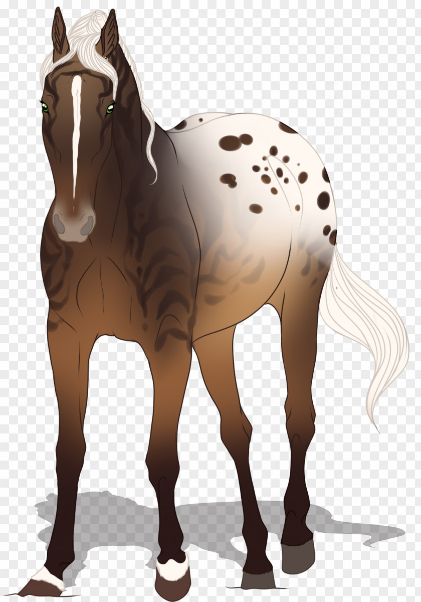 Horse Mule Foal Stallion Mare PNG