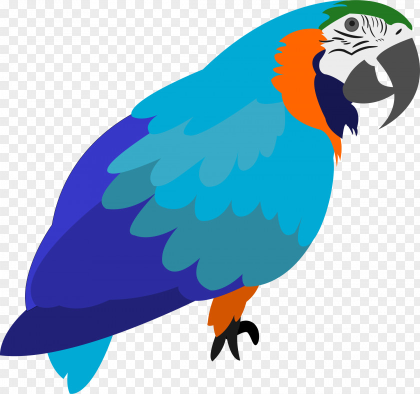 Parrot Macaw Clip Art Bird Image PNG