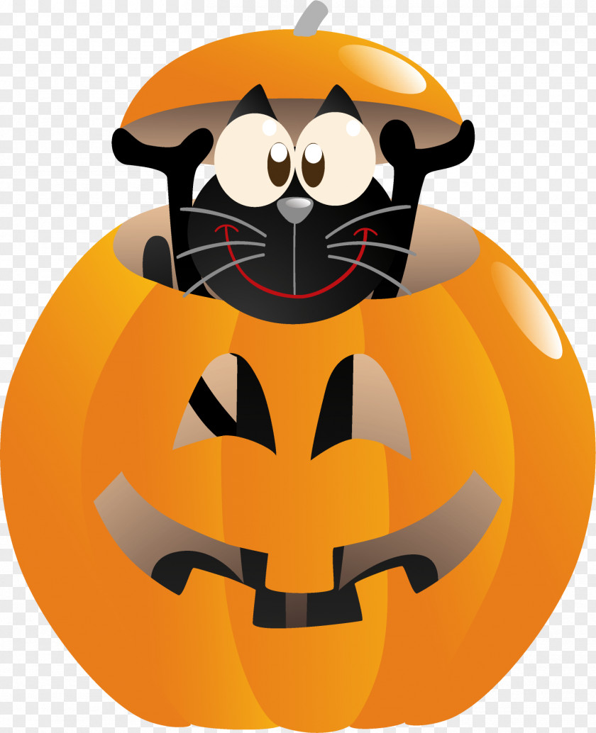 Pumpkin Halloween Cat PNG