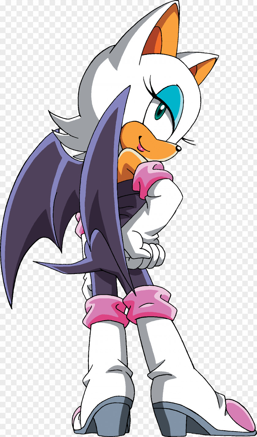 Rouge The Bat Shadow Hedgehog Sonic Adventure 2 Ariciul Forces PNG